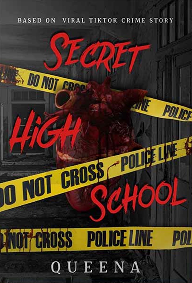 Secret High School Novel
